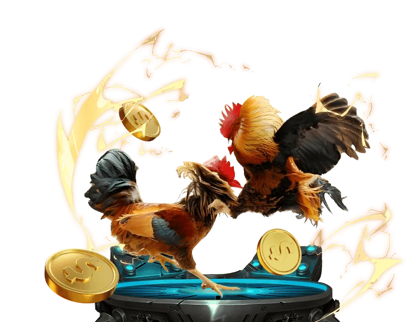 Bảo vệ dữ liệu tại casino 1995